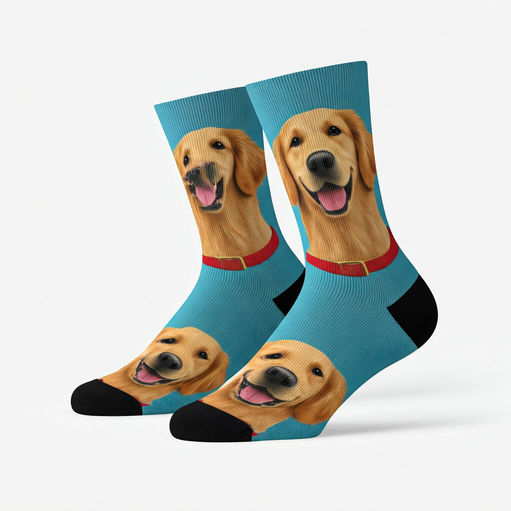 dog socks